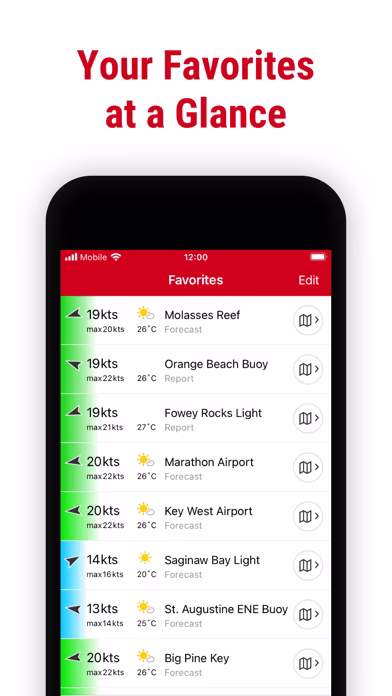 Windfinder Pro app: Wind & Weather Tides, waves & storm forecast - Image 7