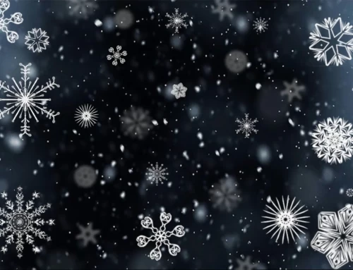 Discover the Magic of Snowflakes: 10 Interesting Facts