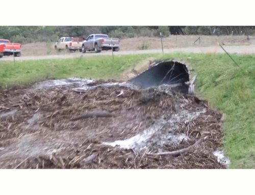 5 Incredible Flash Floods Caught On Camera